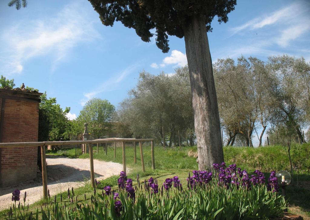 Agriturismo La Torretta Costalpino Экстерьер фото