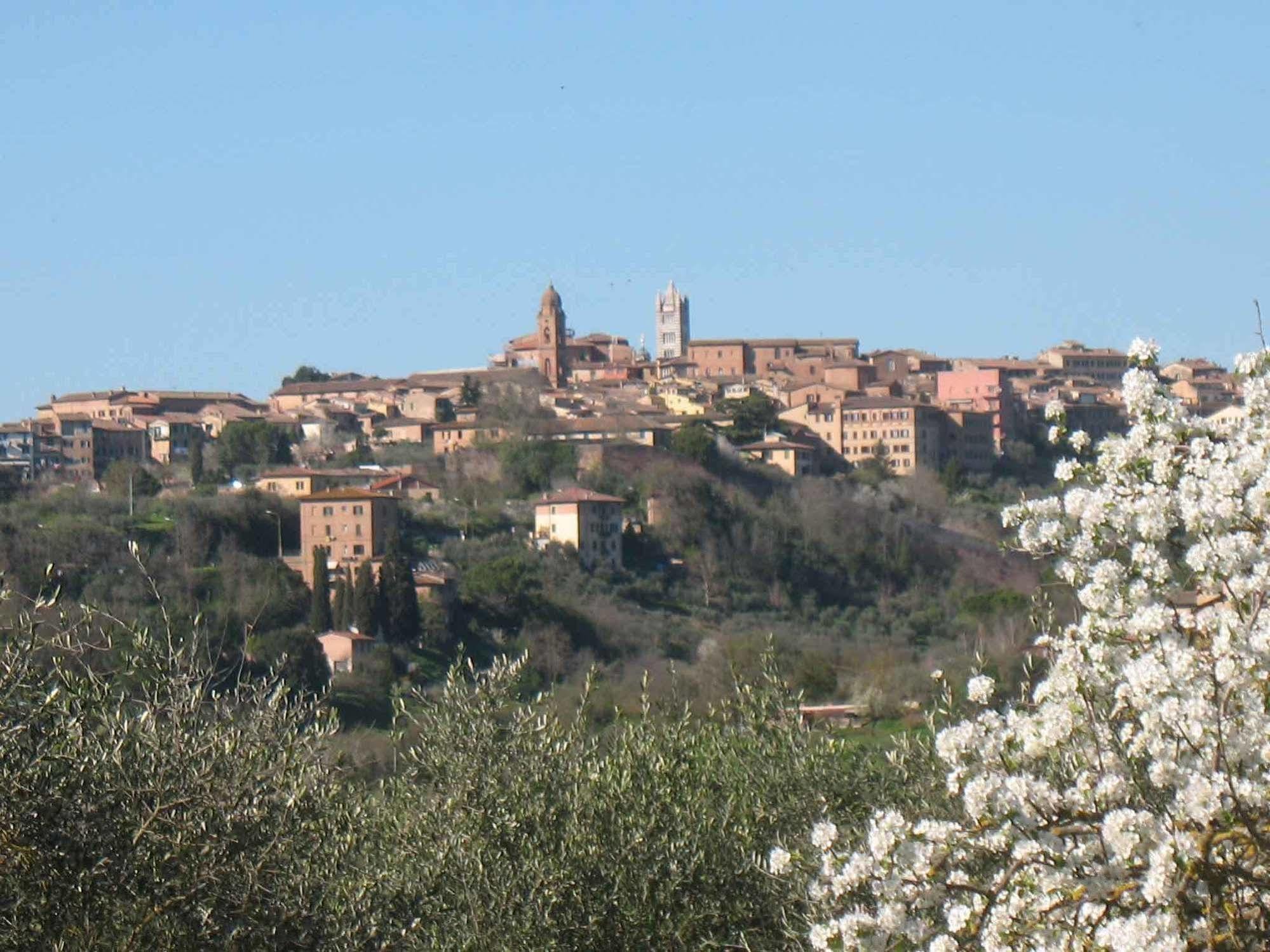 Agriturismo La Torretta Costalpino Экстерьер фото